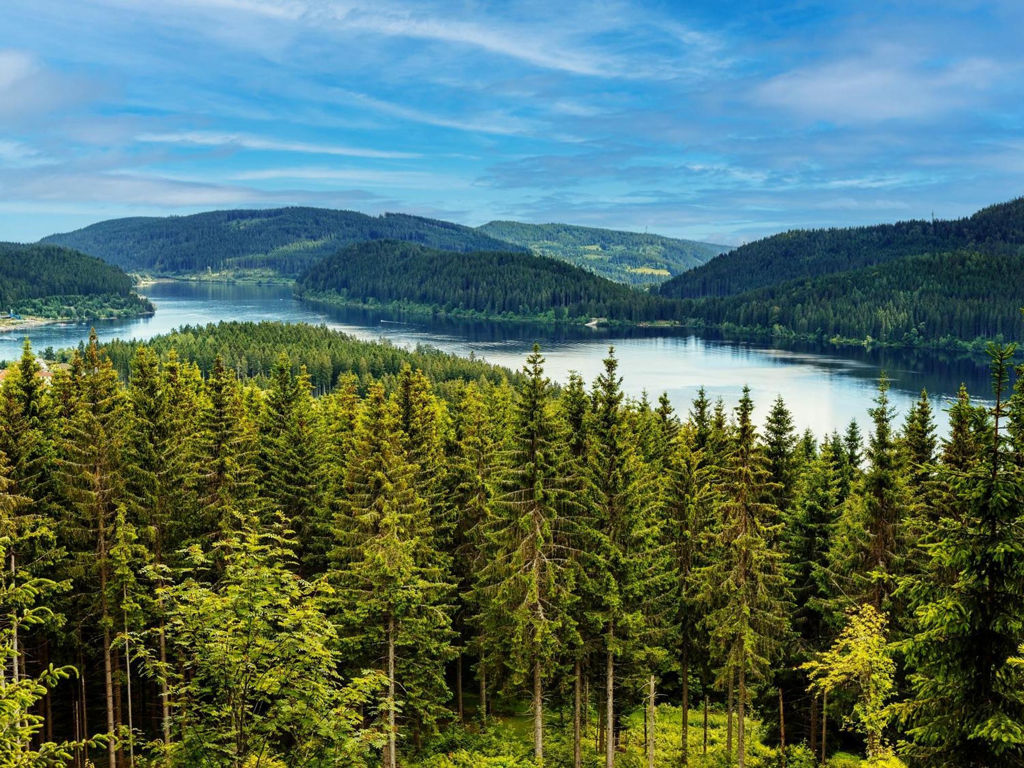 Black Forest Luxury Apartment Baerenhoehle Mit Sauna Schluchsee Buitenkant foto