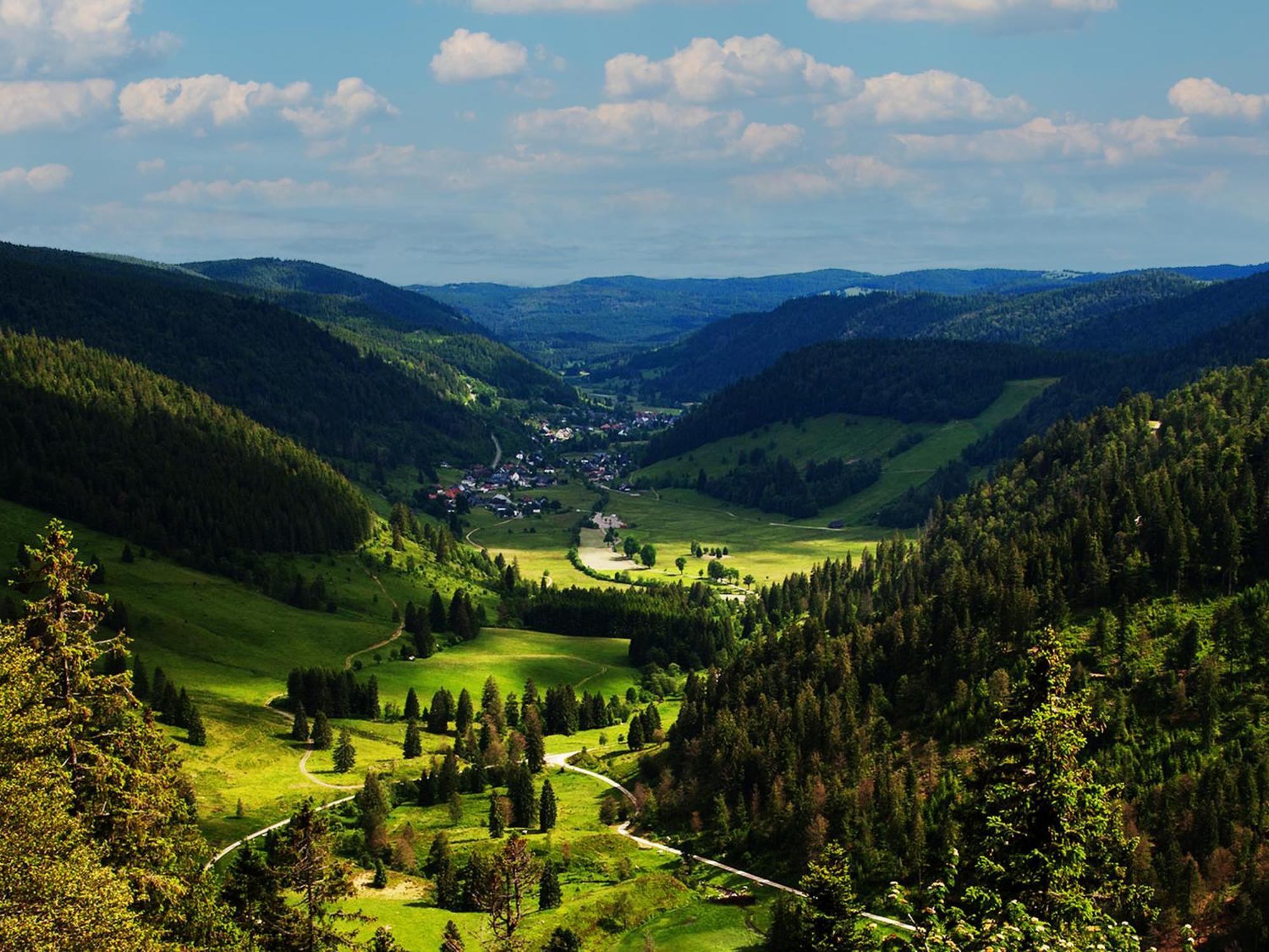 Black Forest Luxury Apartment Baerenhoehle Mit Sauna Schluchsee Buitenkant foto