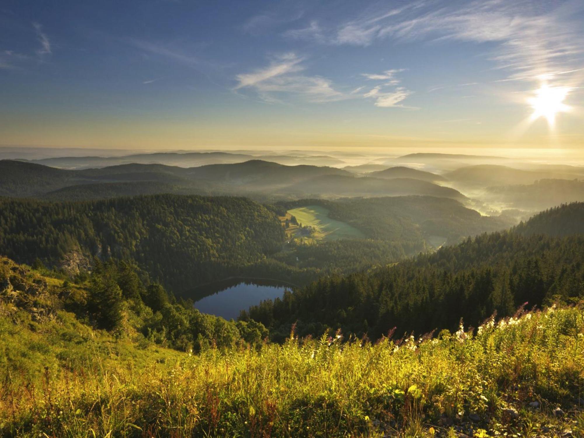 Black Forest Luxury Apartment Baerenhoehle Mit Sauna Schluchsee Buitenkant foto