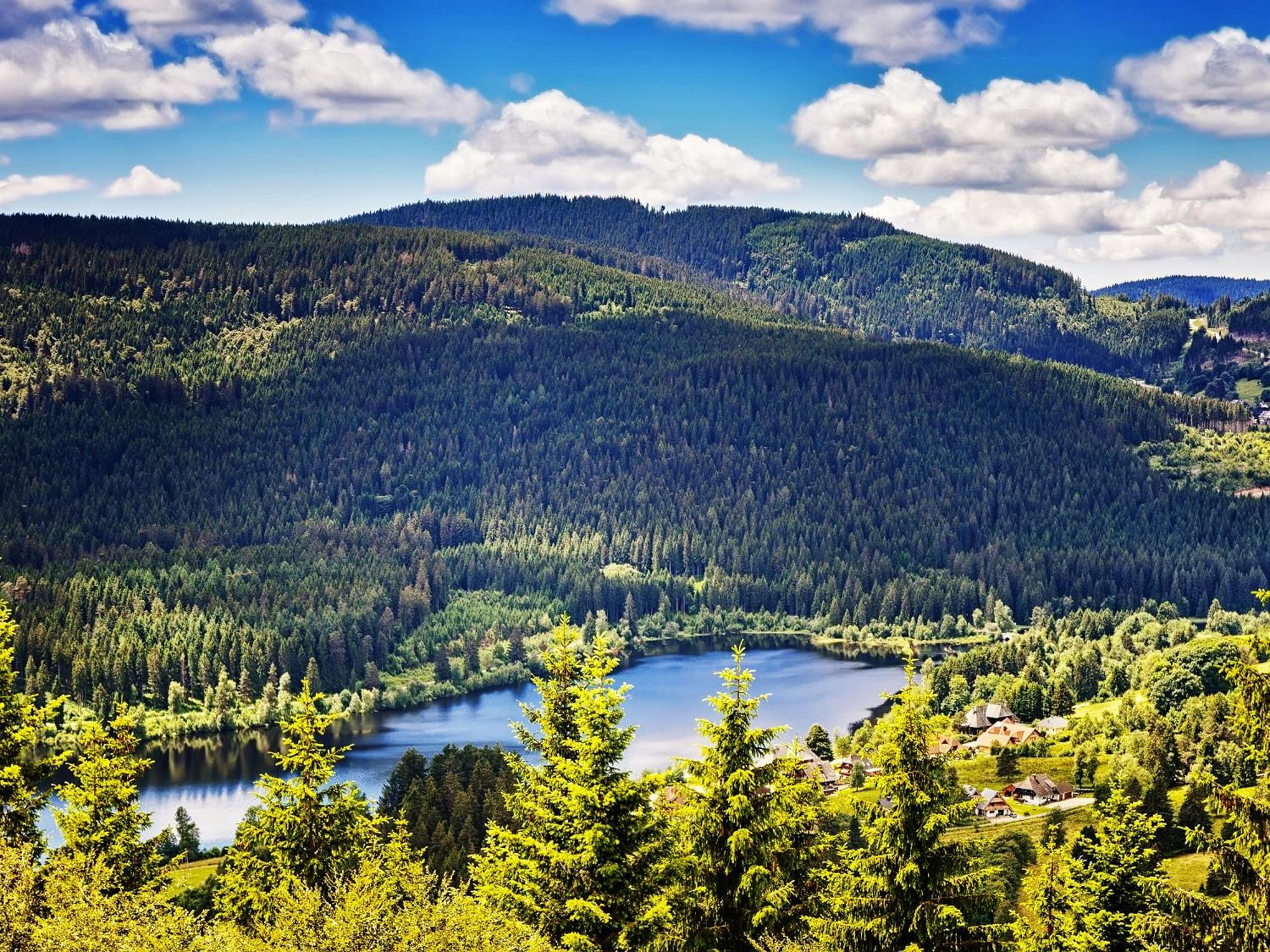 Black Forest Luxury Apartment Baerenhoehle Mit Sauna Schluchsee Buitenkant foto